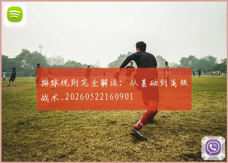 排球规则完全解读：从基础到高级战术_20260522160901