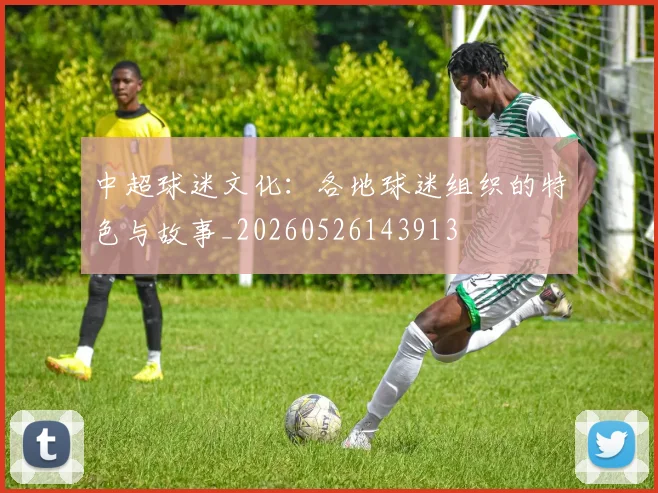 中超球迷文化:各地球迷组织的特色与故事_20260526143913